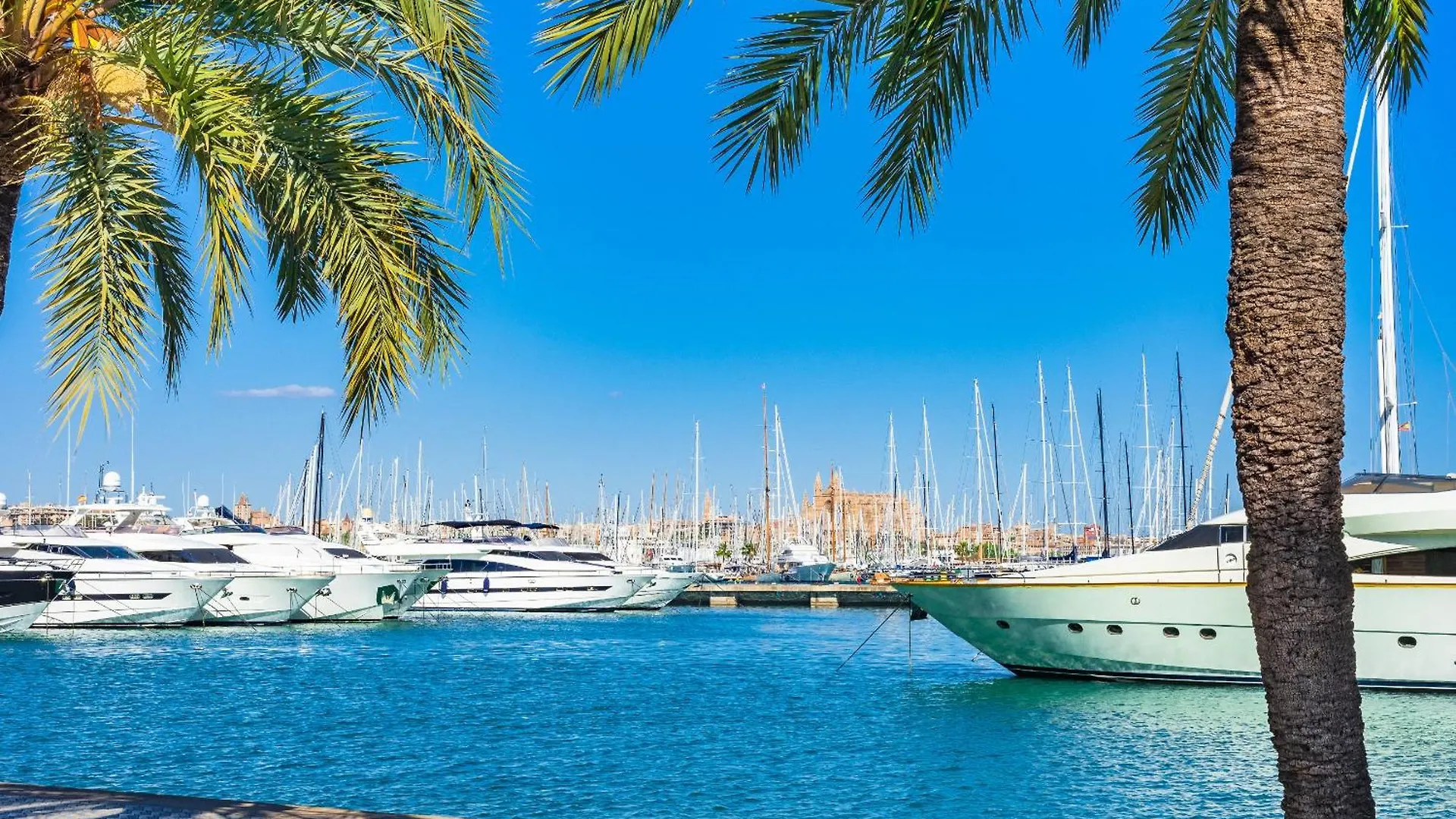Gomila Palma Apartments Spanien